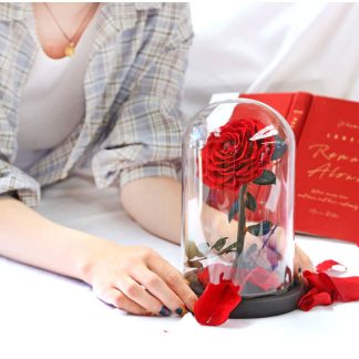 Červená živá stabilizovaná růže ve skle - "Medium"