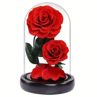 Červené stabilizované růže ve skle – „Dvojitá krása“