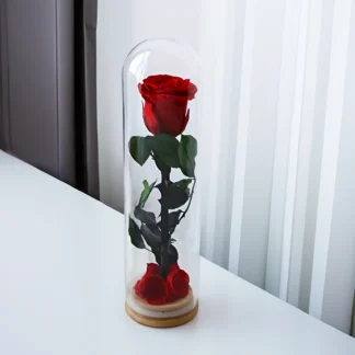 Červená stabilizovaná růže ve skle – „Mini“
