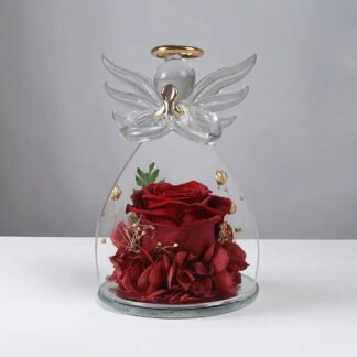 Stabilizovaná růže - "Anděl věčného života"