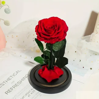 Červená živá stabilizovaná růže ve skle – „Maxi“