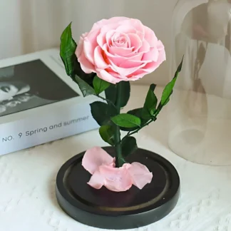 Růžová stabilizovaná růže ve skle – „Maxi“