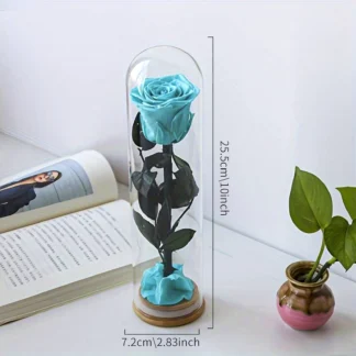 Tyrkysová stabilizovaná růže ve skle – „Mini“