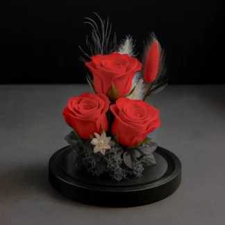 Premium trojitá červená růže v kopuli