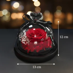 Premium věčná červená růže ve skleněné kopuli se srdíčkem