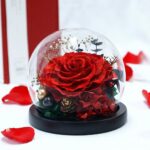 Červená stabilizovaná růže ve skleněné kouli na černém podstavci