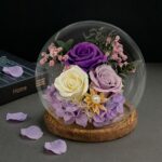 Levandulové věčné růže ve skleněné kouli na dřevěném podstavci