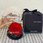 Stabilizovaná červená růže s dekorativními květy ve skleněné kouli