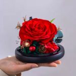 Červená růže ve skleněné kouli – boční pohled na černý podstavec