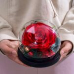 Živá zakonzervovaná červená růže ve skle – pohled zepředu