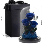 Tmavě modré stabilizované růže ve skle s černým dárkovým balením – rozměry 20,6 × 12 cm