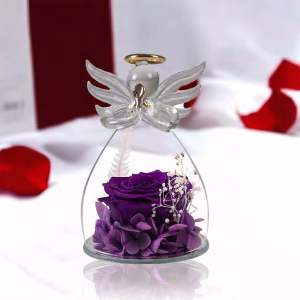 Fialová růže - "Anděl věčného života"